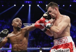 V体育官方app-谢菲联主场击败利物浦，创造奇迹一战，谢菲联足球俱乐部