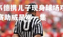 V体育官方app-韦德携儿子现身球场观赛助威，韦德携儿子现身球场观赛助威是哪一集