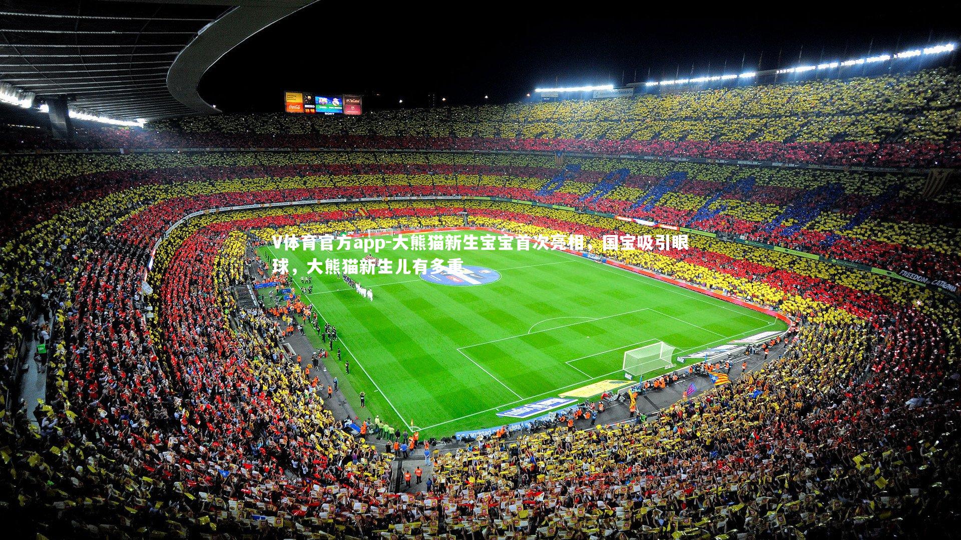 大熊猫新生宝宝首次亮相，国宝吸引眼球，大熊猫新生儿有多重